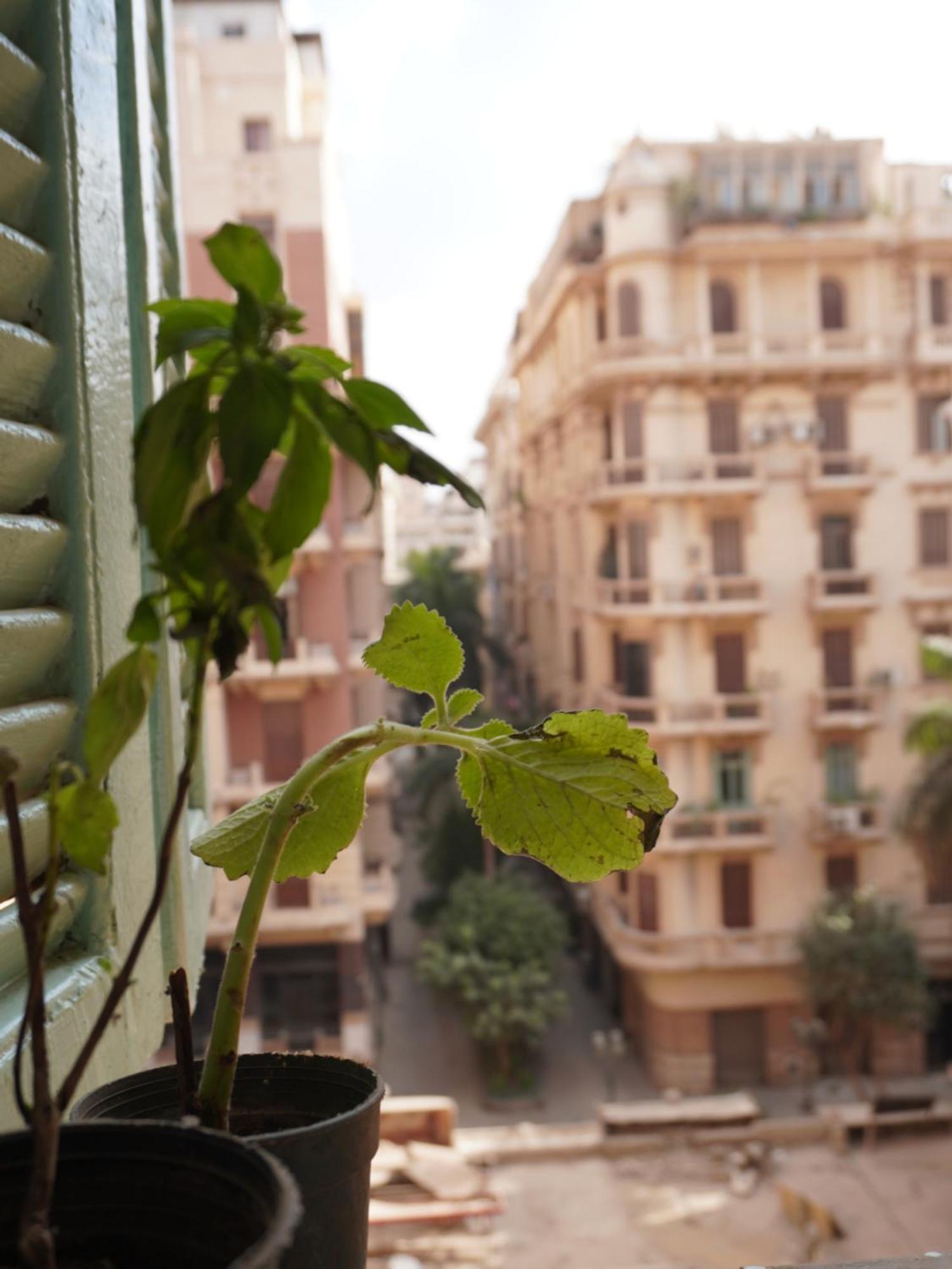 Rhala Hostel Egypt カイロ エクステリア 写真